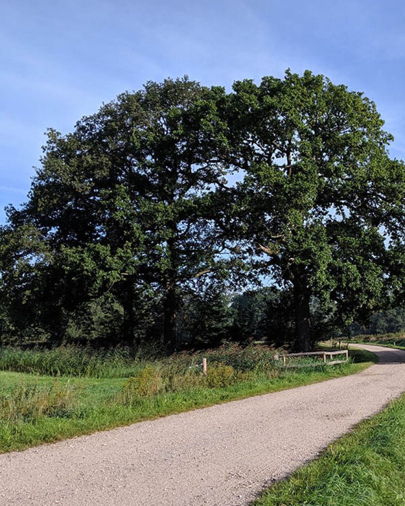 Road around Den Ham, Overijssel, The Netherlands